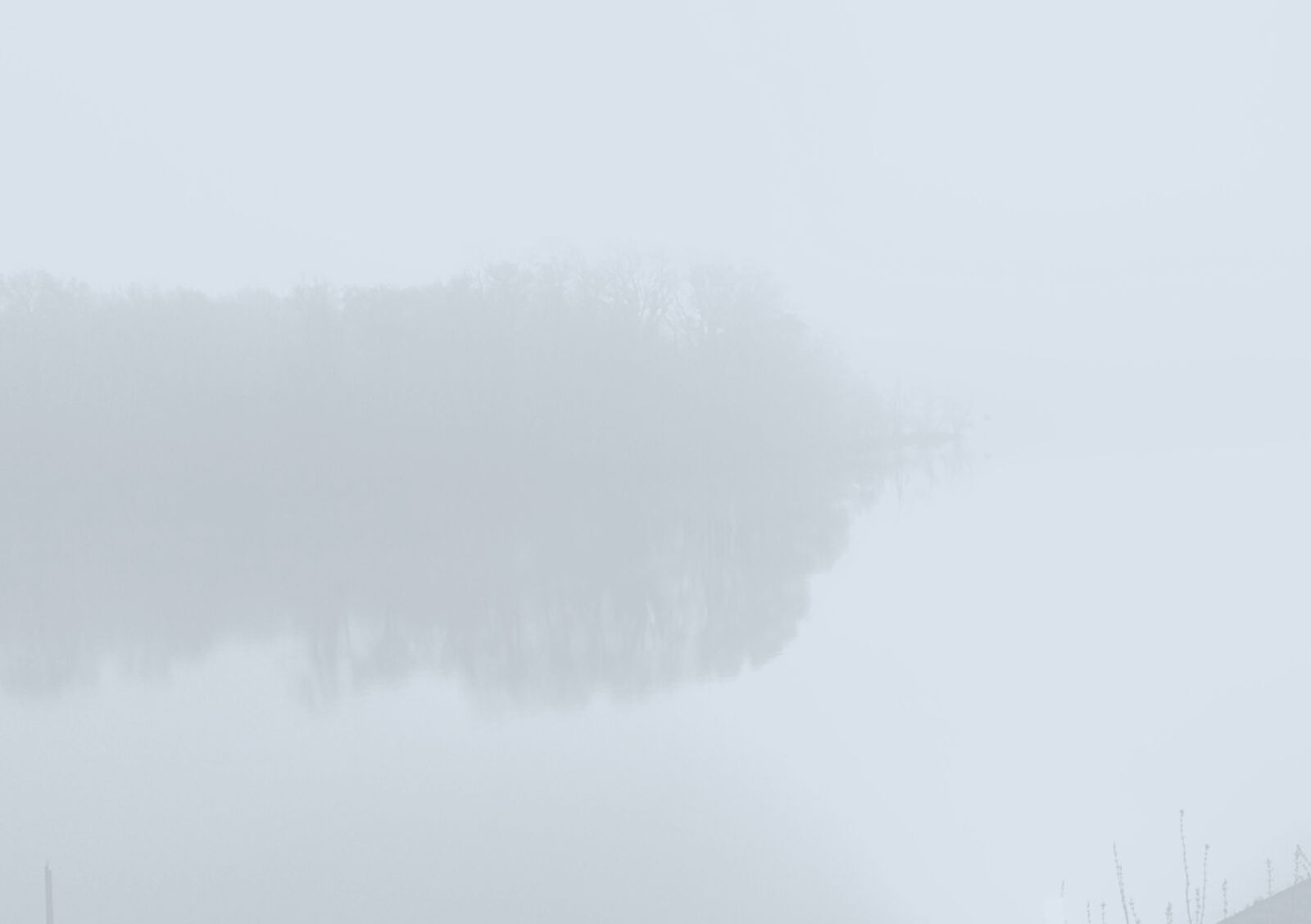 AAPML Folder 2026 Cover